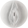 Fleshlight Ice Clear Crystal Lady Masturbator