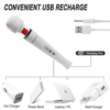 PALOQUETH Wand Massager USB charge