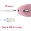 SVAKOM Echo Clitoral Vibrator Pale Pink charge