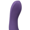 We-Vibe Rave G-spot Stimulator tip